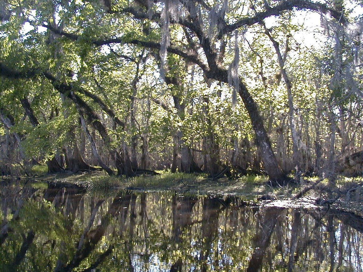 Rio, FL - Category:St. Johns River - Wikimedia Commons