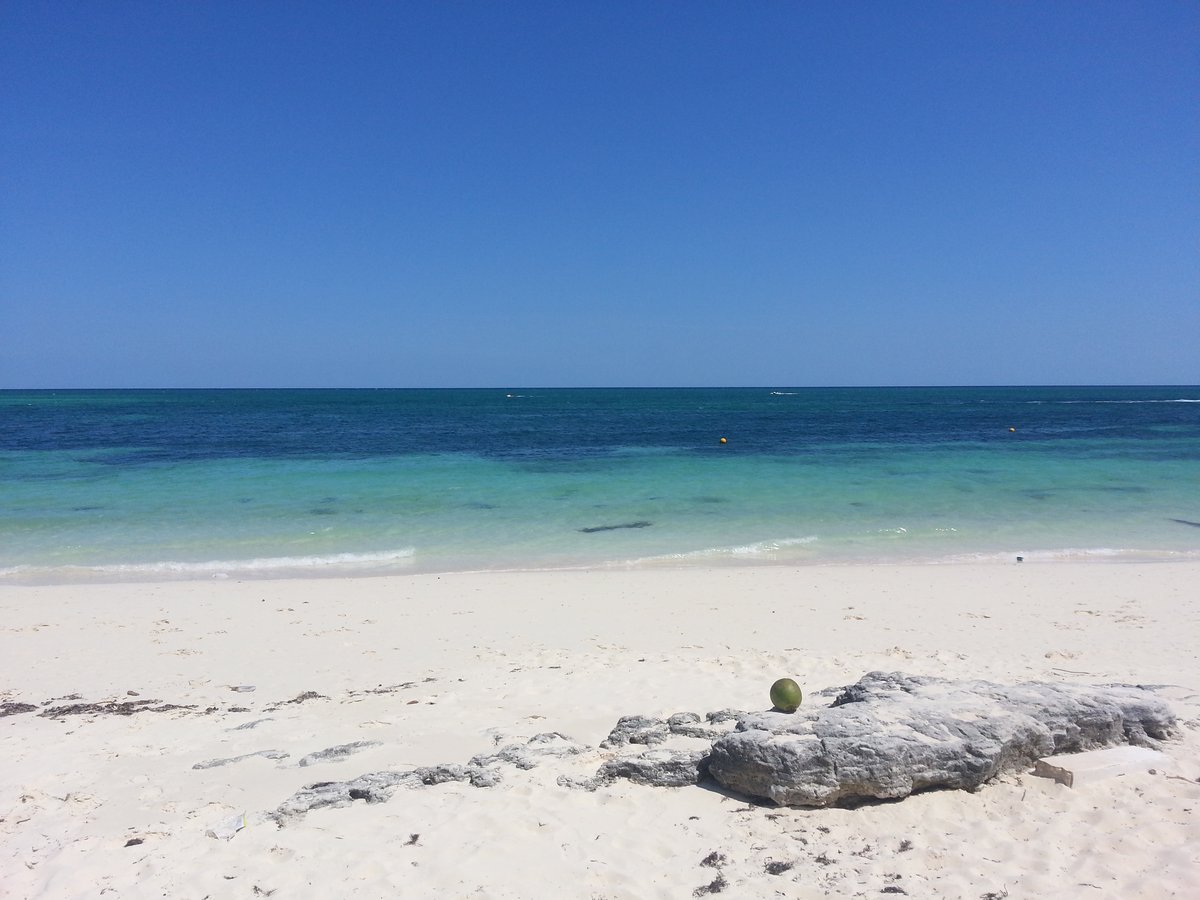 Vero Beach, FL - El ojo del Delfín - Wikipedia, la enciclopedia libre